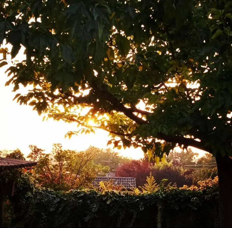Anticacascina Bed & Breakfast Quarto  0*, Quarto (Asti) Italy