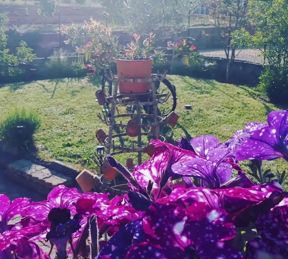 Anticacascina Bed & Breakfast Quarto  Quarto (Asti)